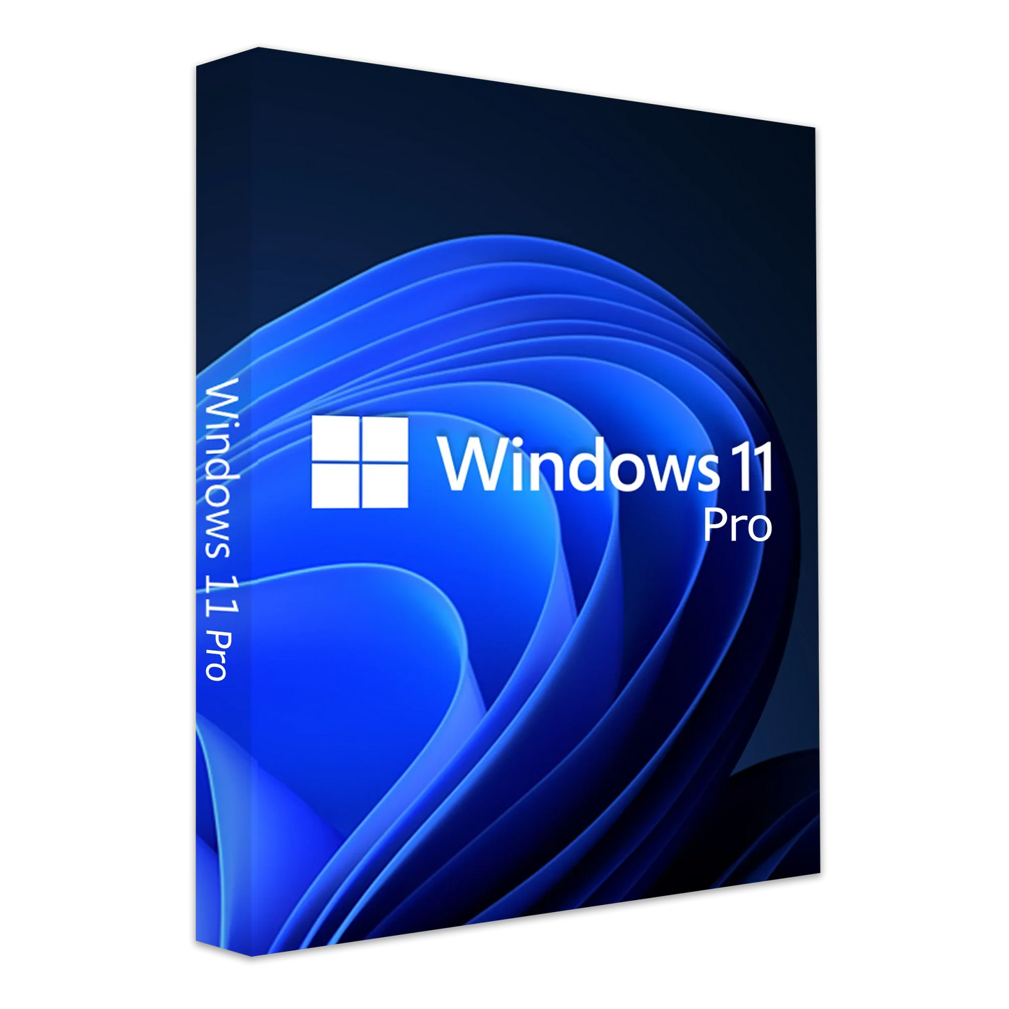 Windows 11 Profesional LTSC